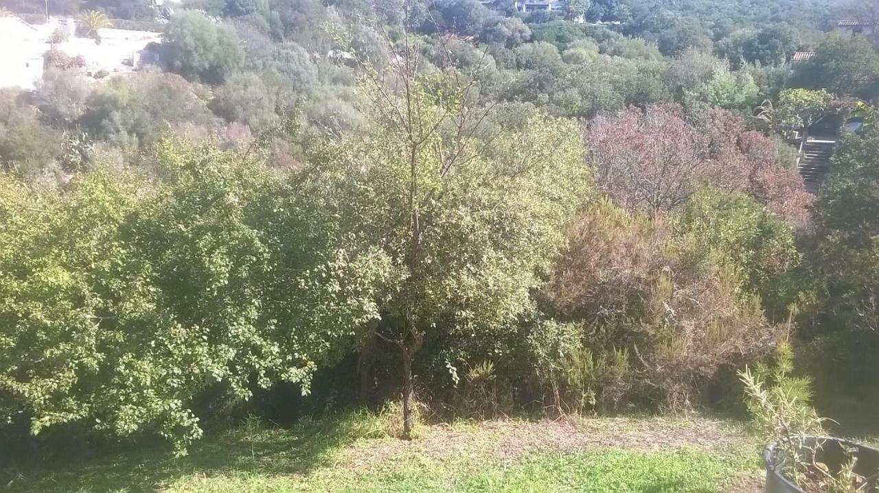 شقة بورْتِكْسْيو  في Studio In Porticcio المظهر الخارجي الصورة