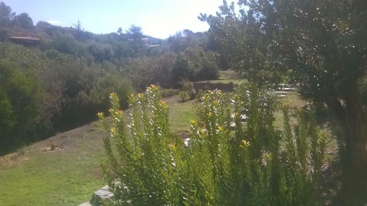 شقة بورْتِكْسْيو  في Studio In Porticcio المظهر الخارجي الصورة